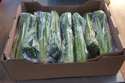 Celery 2