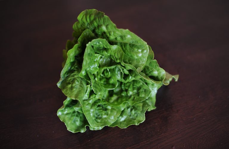 Romaine